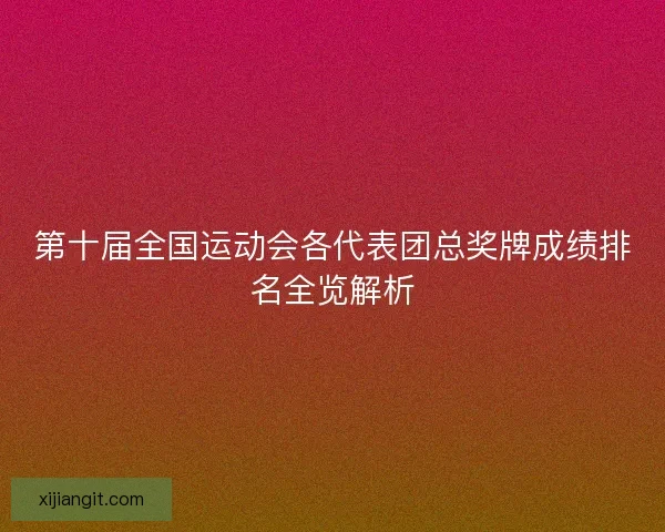 第十届全国运动会各代表团总奖牌成绩排名全览解析