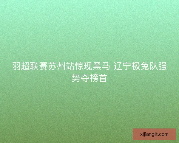 羽超联赛苏州站惊现黑马 辽宁极兔队强势夺榜首